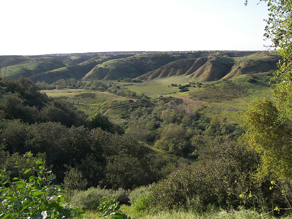 Los Penasquitos Canyon